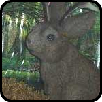 Jackelope Diorama