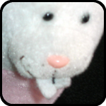 Dong Bunny