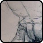 Figure Drawing Book Figure Drawing Book