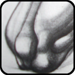 Figure Drawing Book Figure Drawing Book