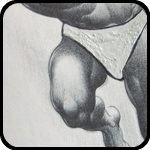 Figure Drawing Book Figure Drawing Book