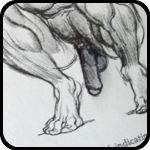 Figure Drawing Book Figure Drawing Book