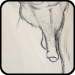 Figure Drawing Book Figure Drawing Book