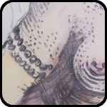 Hairy Lady Hairy Lady