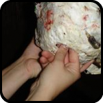 Brit and Rosalie punching a hole in a paper mache hedgehog