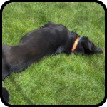 Profile for brkeliz