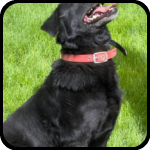 Profile for brkeliz