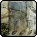 Profile for jenworden
