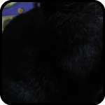 Profile for happysangria